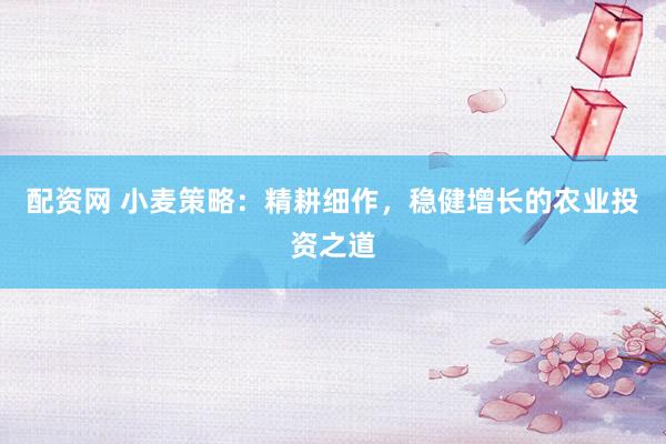 配资网 小麦策略：精耕细作，稳健增长的农业投资之道