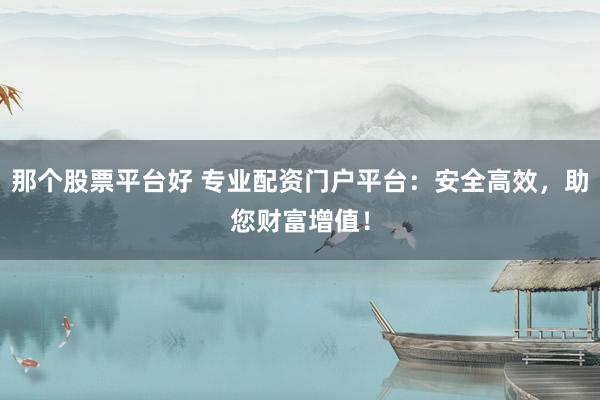 那个股票平台好 专业配资门户平台：安全高效，助您财富增值！