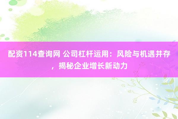 配资114查询网 公司杠杆运用：风险与机遇并存，揭秘企业增长新动力