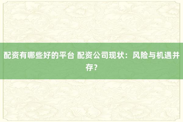 配资有哪些好的平台 配资公司现状：风险与机遇并存？