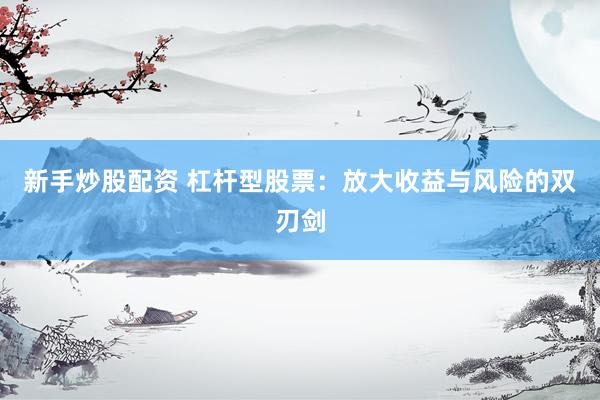 新手炒股配资 杠杆型股票：放大收益与风险的双刃剑