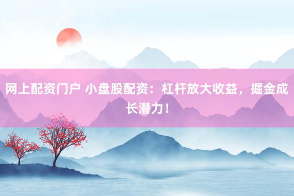 网上配资门户 小盘股配资：杠杆放大收益，掘金成长潜力！