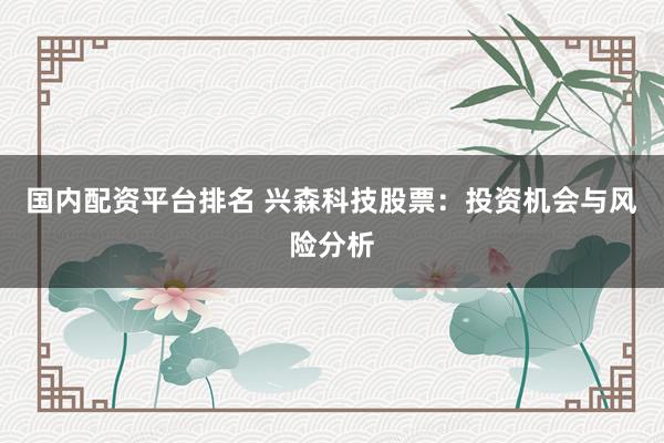 国内配资平台排名 兴森科技股票：投资机会与风险分析