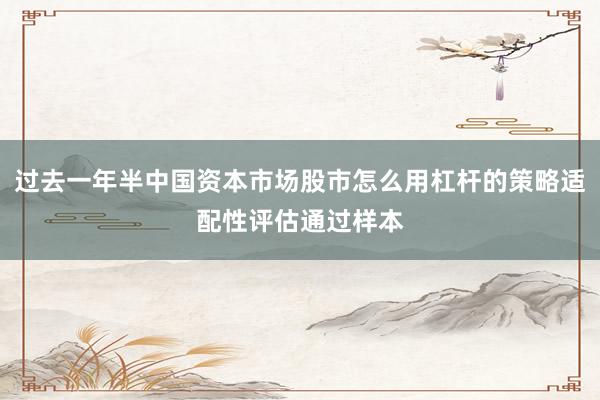 过去一年半中国资本市场股市怎么用杠杆的策略适配性评估通过样本