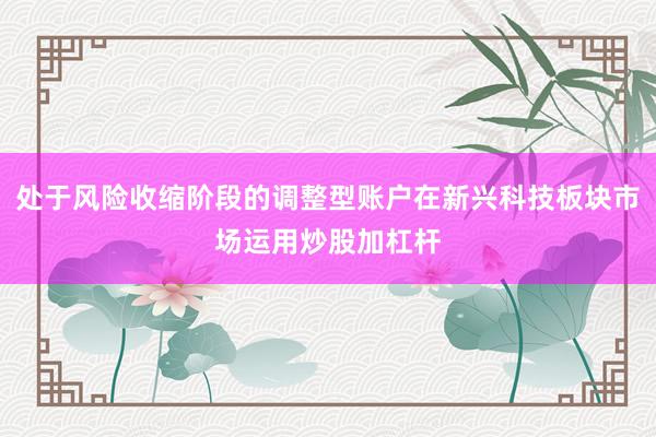 处于风险收缩阶段的调整型账户在新兴科技板块市场运用炒股加杠杆