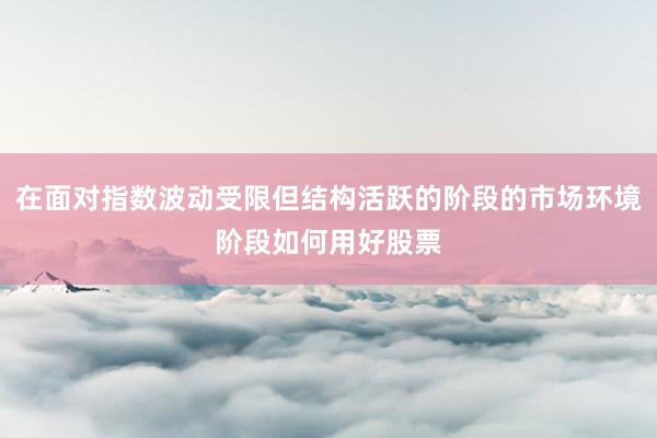 在面对指数波动受限但结构活跃的阶段的市场环境阶段如何用好股票