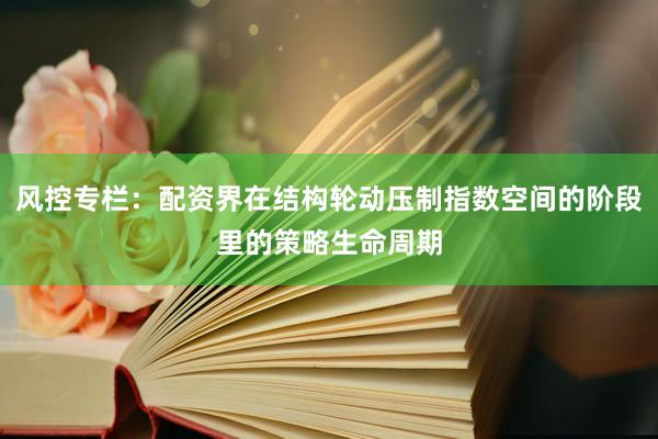 风控专栏：配资界在结构轮动压制指数空间的阶段里的策略生命周期