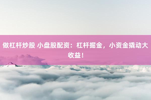 做杠杆炒股 小盘股配资:杠杆掘金,小资金撬动大收益!