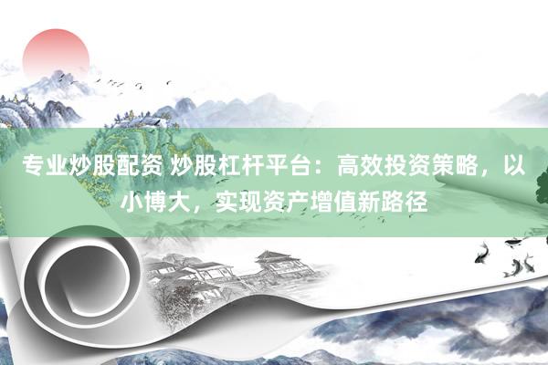 专业炒股配资 炒股杠杆平台：高效投资策略，以小博大，实现资产增值新路径