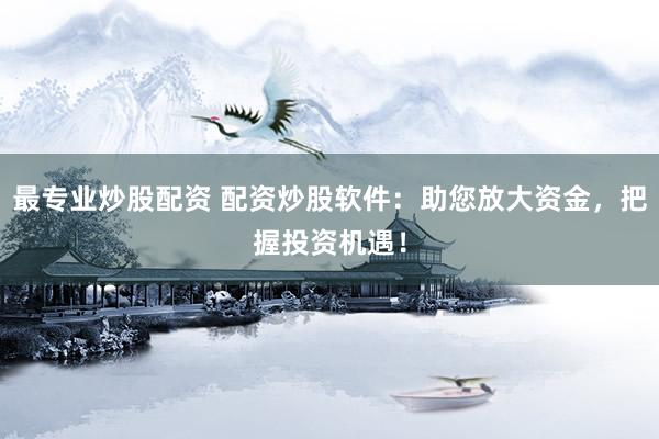 最专业炒股配资 配资炒股软件：助您放大资金，把握投资机遇！